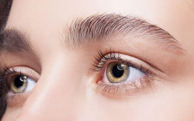 The 5 Most Recommended Eyebrow Rerums – Check Out Our Ranking!